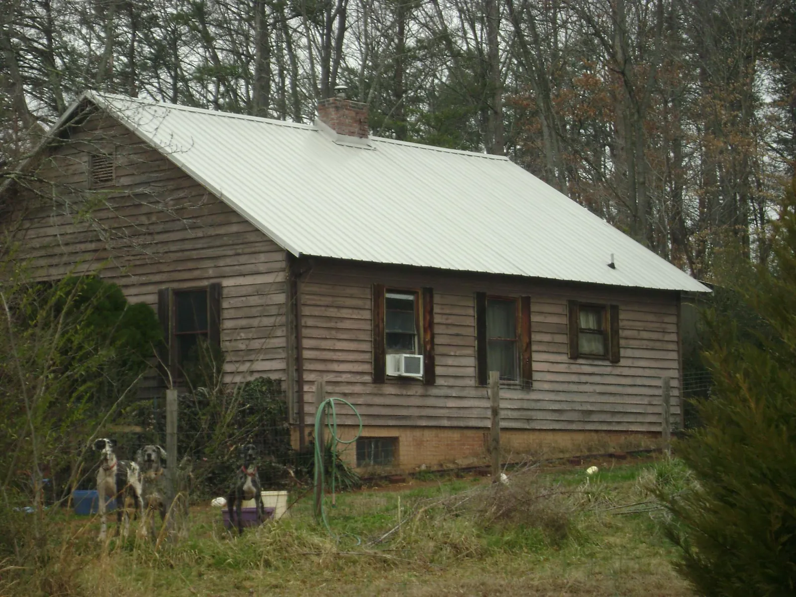 White metal roof on an old wood sided farmhouse, from a Asphalt Shingle Roof Repair job in Waterloo